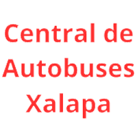 Logo - CAXA